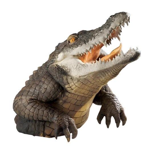 Graddi JawsBite Art