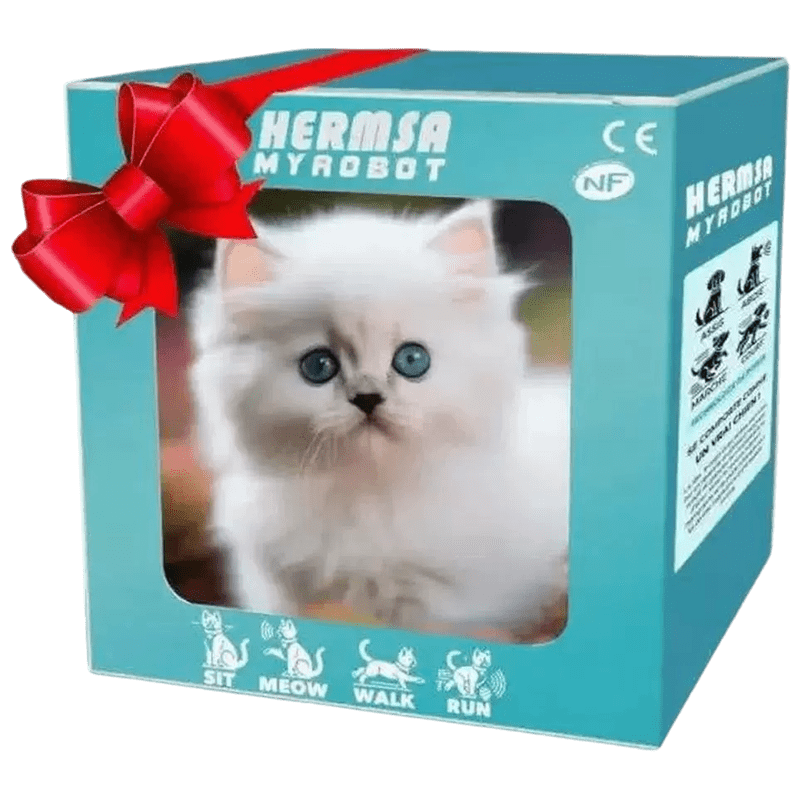 Vivitoys™ KittyPal