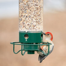Cargar imagen en el visor de la galerĆa, 2024 Summer New Arrival š„100% Squirrel Resistant Bird Feeder