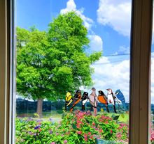 Cargar imagen en el visor de la galería, Birds Stained Glass Window Hangings