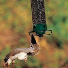 Cargar imagen en el visor de la galerĆa, 2024 Summer New Arrival š„100% Squirrel Resistant Bird Feeder