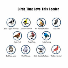 Cargar imagen en el visor de la galerĆa, 2024 Summer New Arrival š„100% Squirrel Resistant Bird Feeder