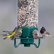 Cargar imagen en el visor de la galerĆa, 2024 Summer New Arrival š„100% Squirrel Resistant Bird Feeder