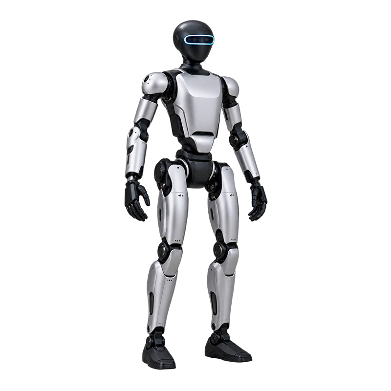 Hobelis Humanoid Robot Toy