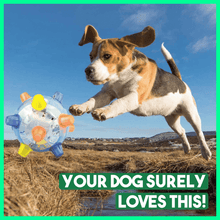 Load image into Gallery viewer, PetsBoro⢠Pet Ball Endless Entertainment for Your Furry Friend!