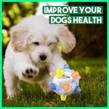 Load image into Gallery viewer, PetsBoro⢠Pet Ball Endless Entertainment for Your Furry Friend!