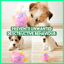 Load image into Gallery viewer, PetsBoro⢠Pet Ball Endless Entertainment for Your Furry Friend!