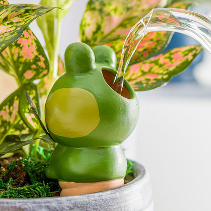 Frog dripper watering device