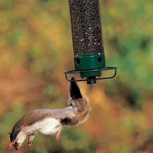 2023 Summer New Arrival 🔥100% Squirrel Resistant Bird Feeder
