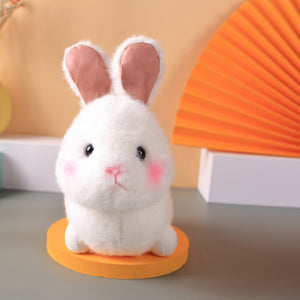 Graddi Dr.Bunny