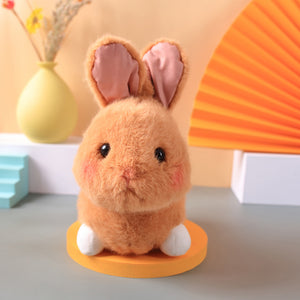 Graddi Dr.Bunny