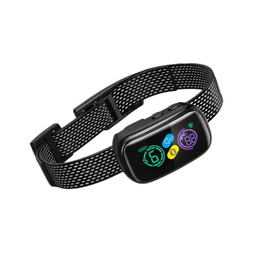 Graddi™ BarkIQ Collar