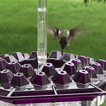 Graddi Sweety Hummingbird Feeder